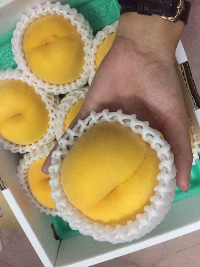 Thị trường lại sốt trước loại đào vàng Nhật Bản giá cả triệu đồng/kg