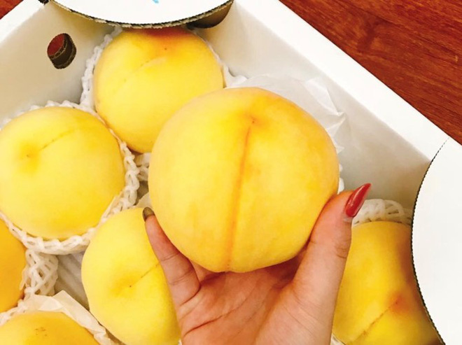 Thị trường lại sốt trước loại đào vàng Nhật Bản giá cả triệu đồng/kg