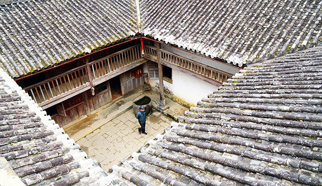 Cuộc đời oai hùng của Vua Mèo qua lời kể của cháu nội