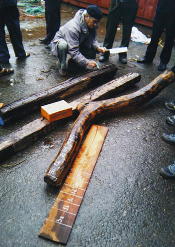 Ba cựu công chức hải quan lãnh án vụ buôn lậu gỗ 63 tỷ đồng