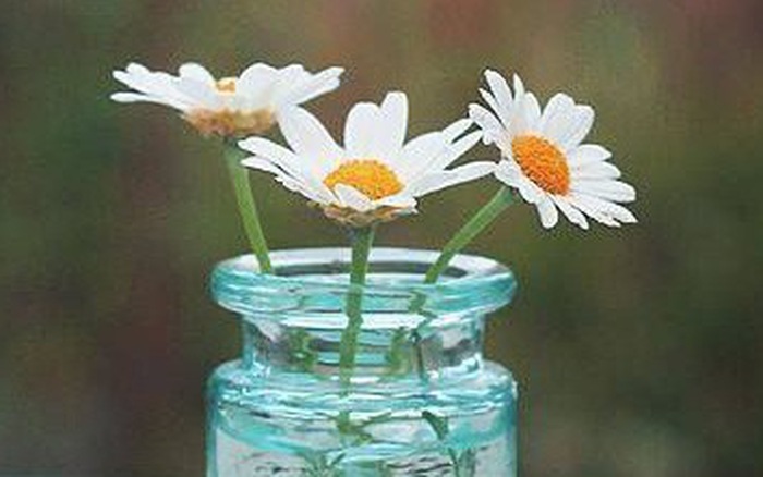 Thứ Sáu của bạn (24/8): Cự Giải tình duyên khởi sắc Thứ Sáu của bạn (24/8): Cự Giải tình duyên khởi sắc