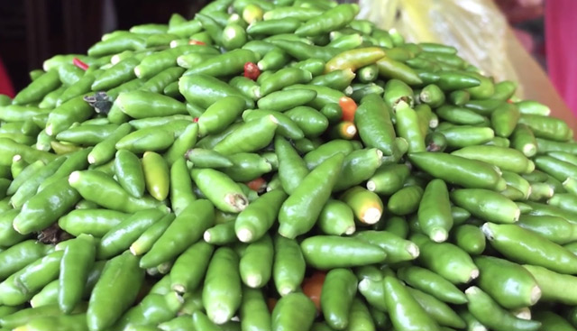 Đặc sản chim ỉa sạch 100% nổi danh đất Quảng Ngãi khó mua hơn vàng