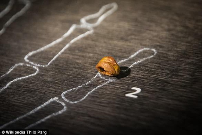 Phát hiện hài cốt thiếu nữ là con lai giữa 2 loài khác nhau