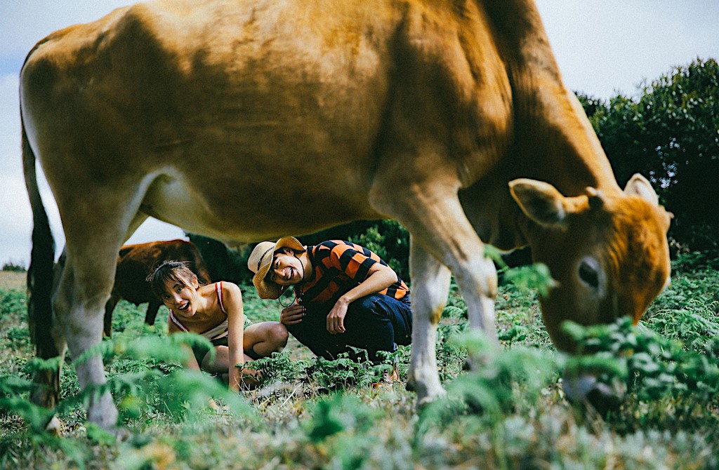 Cô gái nào cũng ước ao rồi mai sau sẽ có một tình yêu dung dị mà bình yên, lãng mạn như album này