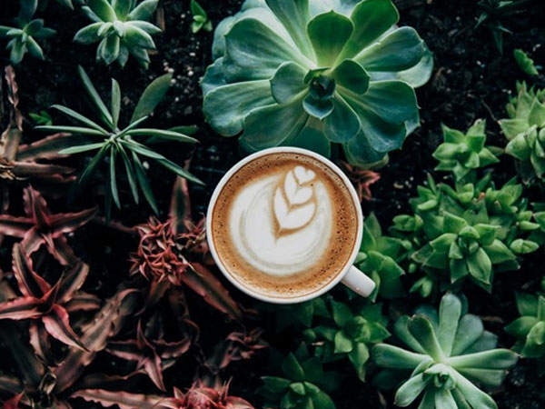 Tử vi cung hoàng đạo ngày 24/8/2018