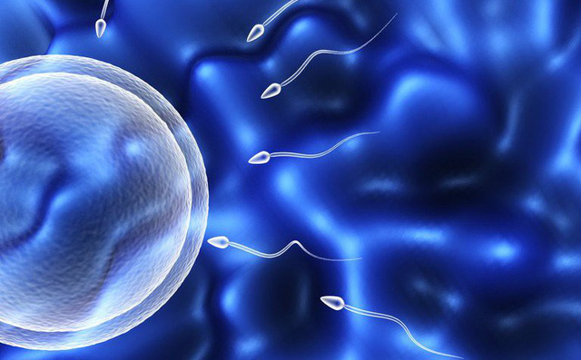 BS chia sẻ về những bí mật của tinh dịch: Biết bệnh sớm nhờ quan sát bằng mắt thường