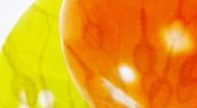 BS chia sẻ về những bí mật của tinh dịch: Biết bệnh sớm nhờ quan sát bằng mắt thường