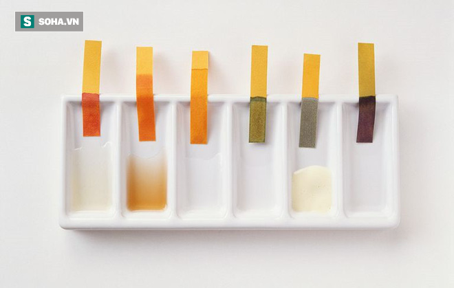 BS chia sẻ về những bí mật của tinh dịch: Biết bệnh sớm nhờ quan sát bằng mắt thường