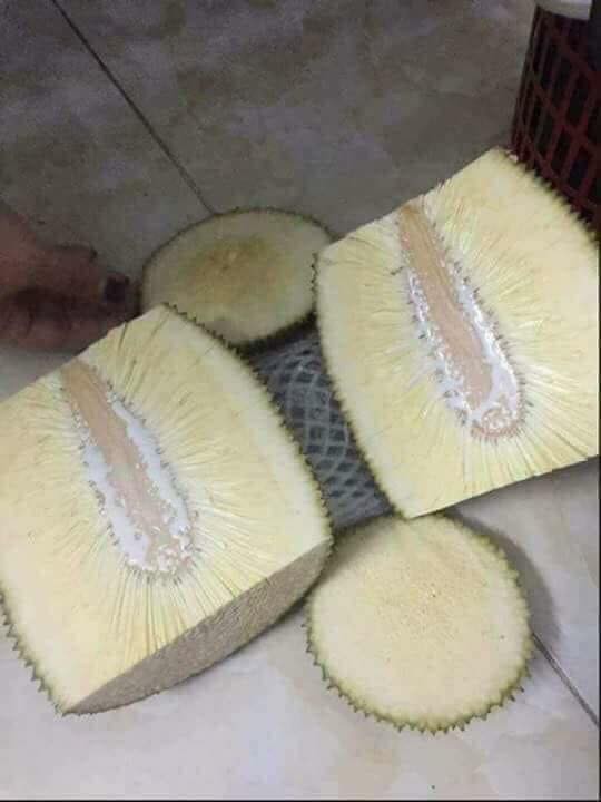 Chăm bẵm mấy năm mới bói 1 quả, cô nàng bổ ra thì rặt những xơ, dân mạng còn trêu: Mít lười tập gym nên không có múi!