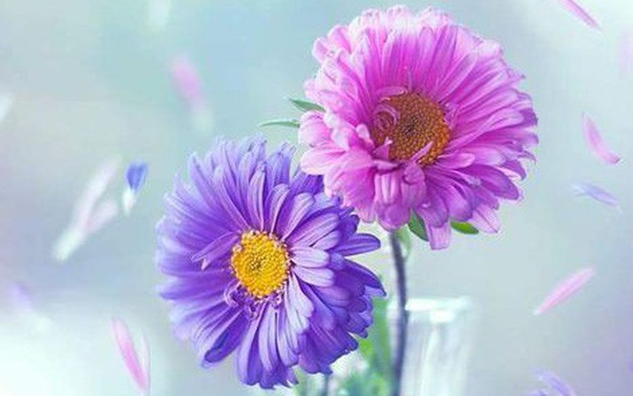 Thứ Bảy của bạn (25/8): Thiên Bình cần chấn chỉnh cách chi tiêu