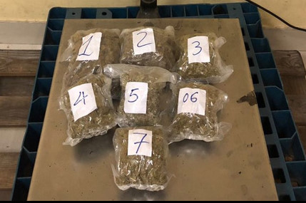 Hải quan Tân Sơn Nhất bắt 57 kg cần sa chuyển về từ Mỹ