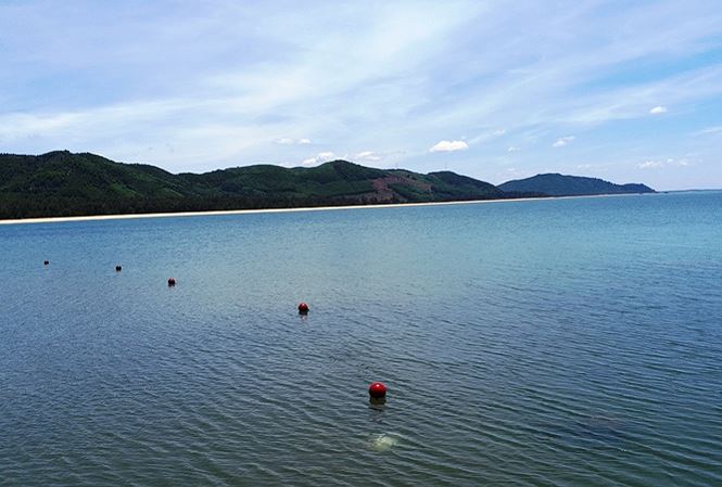 Nghẹt thở giải cứu hàng loạt học sinh bị sóng cuốn ra biển