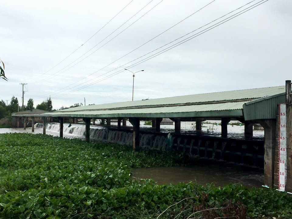 Lũ đầu nguồn lên nhanh, nước đã tràn qua đập tràn Tha La, Trà Sư