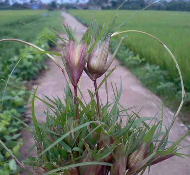 Không smartphone, không trà sữa, đây mới là những thứ làm nên tuổi thơ dữ dội của thế hệ 9X