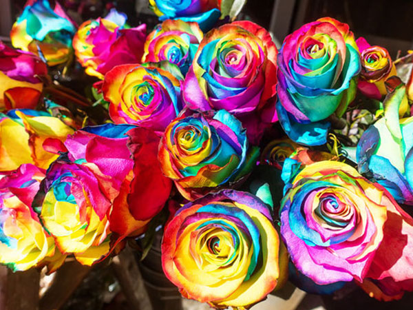 Tử vi cung hoàng đạo ngày 27/8/2018