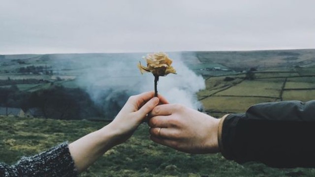 Sốc khi phát hiện bản chất của người vợ hiền hậu qua một quả sầu riêng