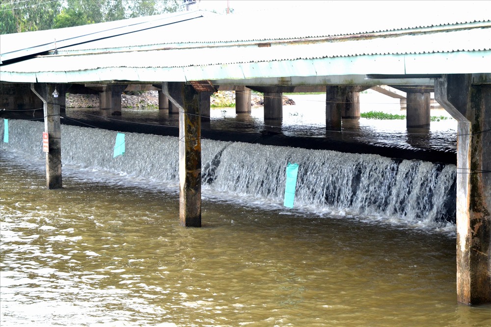 An Giang: Xả đập Tha La, Trà sư sớm 3 ngày vì áp lực nước lũ lên nhanh