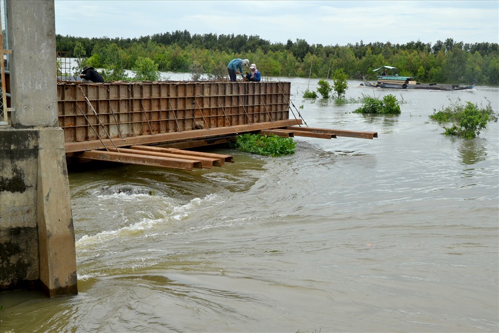 An Giang: Xả đập Tha La, Trà sư sớm 3 ngày vì áp lực nước lũ lên nhanh