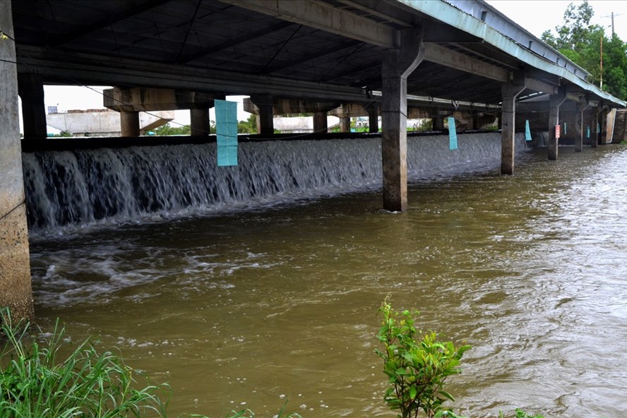 An Giang: Xả đập Tha La, Trà sư sớm 3 ngày vì áp lực nước lũ lên nhanh