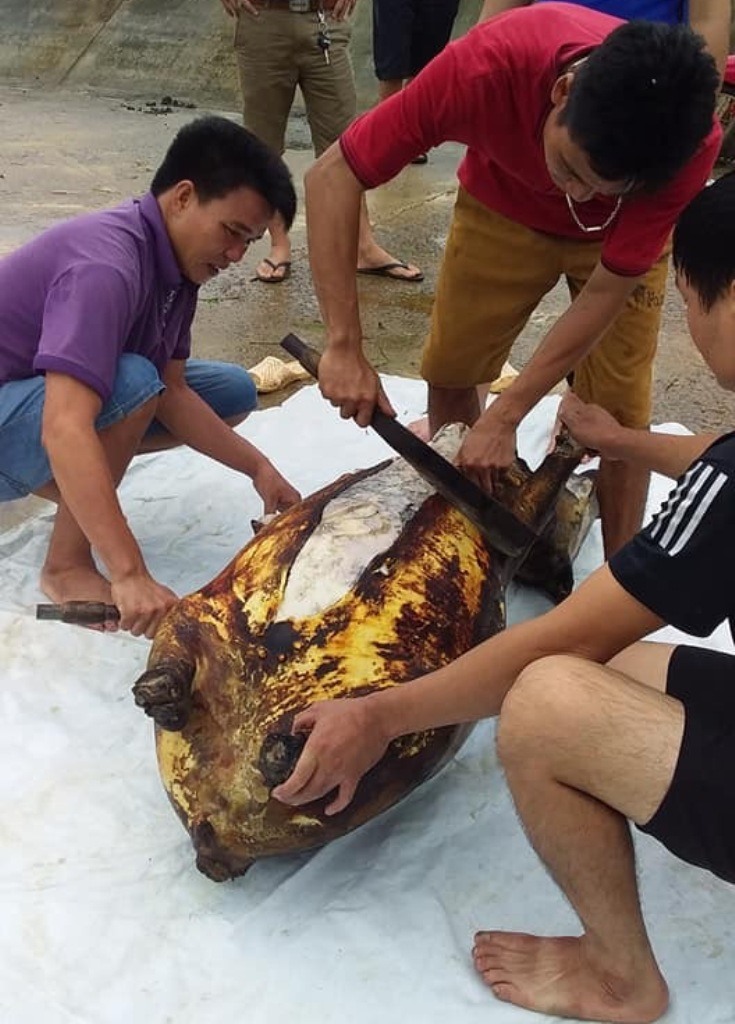 Gia đình thủ môn Bùi Tiến Dũng thịt trâu đãi làng trước trận U23 Việt Nam- U23 Hàn Quốc