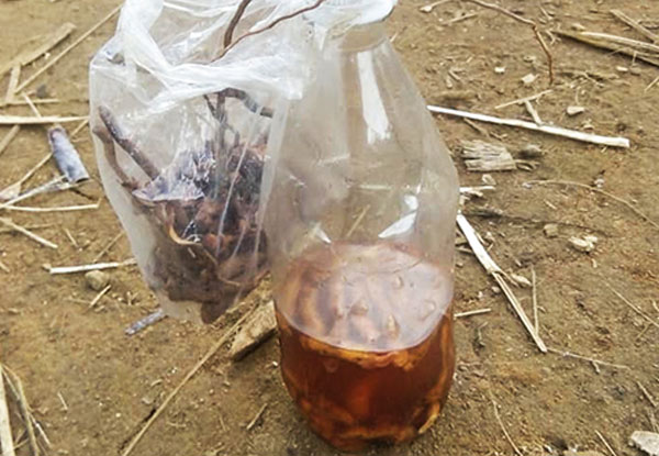 Hai người tử vong sau khi uống rượu ngâm rễ cây