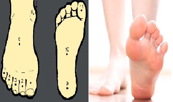 Tướng chân của người phụ nữ phú quý, cứ đi 1 bước là cuộc sống lại giàu có thêm 1 bậc