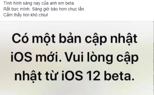 Người dùng Việt khó chịu với lỗi cập nhật trên iOS 12 beta