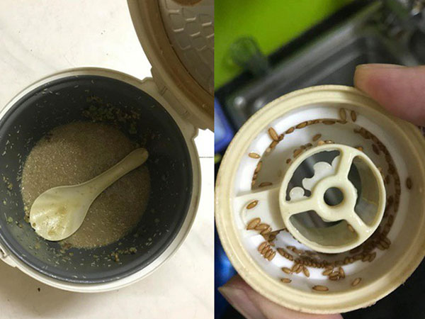 Qua nhà người yêu chơi, chàng trai suýt ngất vì nồi cơm bốc mùi, giòi bò lúc nhúc và sự thật kinh hoàng phía sau