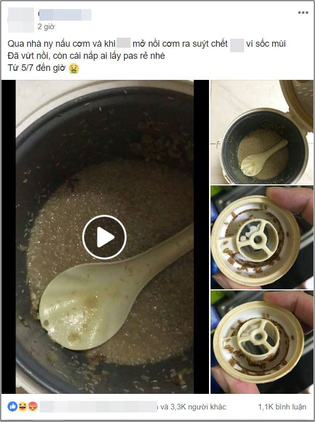 Qua nhà người yêu chơi, chàng trai suýt ngất vì nồi cơm bốc mùi, giòi bò lúc nhúc và sự thật kinh hoàng phía sau