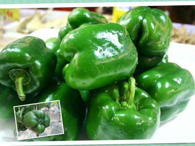 Trái cây rẻ tiền trong vườn Việt được Đông y coi là quả sát thủ tiêu diệt tế bào ung thư