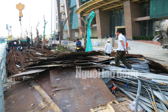 Xem Mường Thanh Khánh Hòa đang cắt ngọn