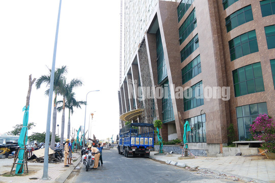 Xem Mường Thanh Khánh Hòa đang cắt ngọn