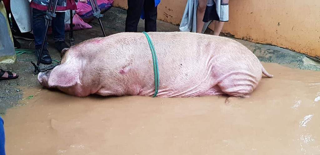 Video: Lũ cuốn trôi nhà cửa đồ đạc người dân tại Mai Sơn