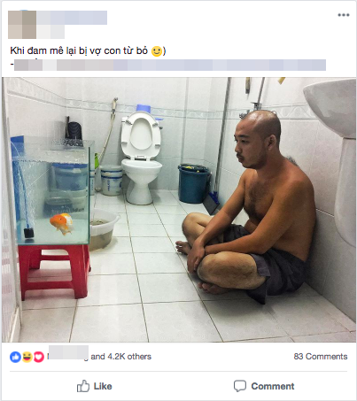 Anh chồng ngồi thẫn thờ ngắm bể cá trong nhà vệ sinh vì vợ không cho nuôi và câu chuyện phía sau khiến nhiều người bất ngờ
