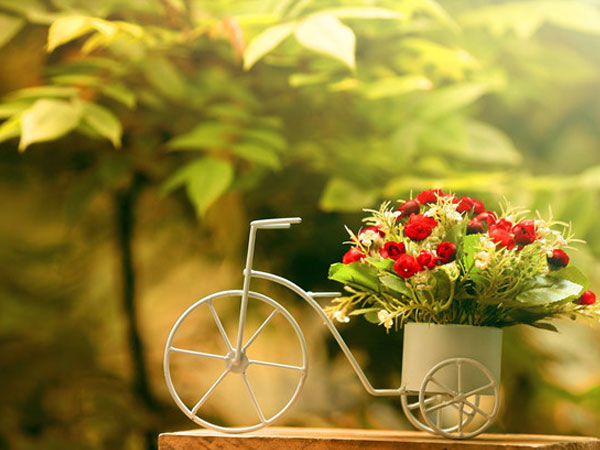 Chủ nhật của bạn (2/9): Bảo Bình chỉ muốn vui chơi