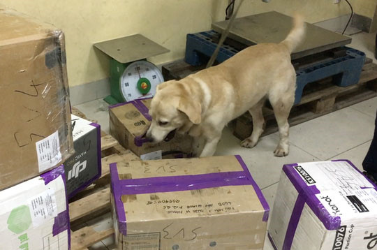 Lộ mặt ông trùm ở quận Phú Nhuận TP HCM