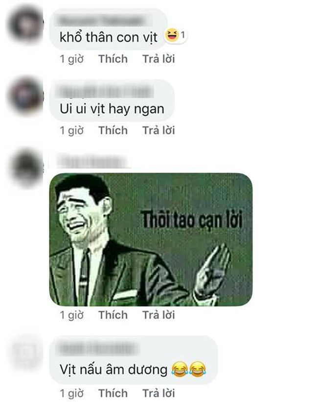 Nhân dịp lễ 2/9, cô vợ hào hứng làm vịt luộc cho cả nhà ăn, nào ngờ thành món vịt om kẹo đắng