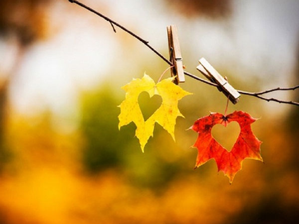 Thứ Hai của bạn (3/9): Song Tử chớ nên mạnh miệng