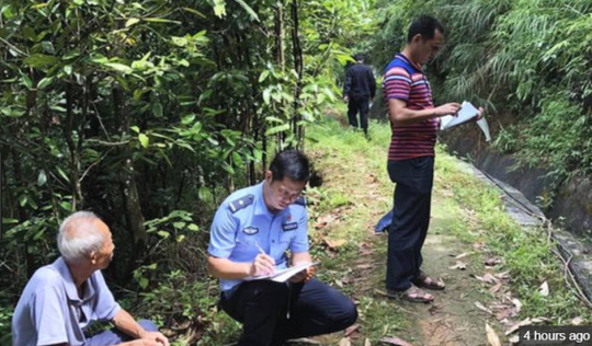 Bé gái 22 tháng tuổi sống sót sau 4 ngày lạc nơi rừng núi