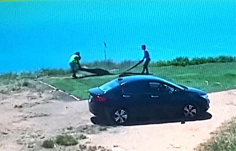 Hai người đi ô tô trộm cỏ nhân tạo ở bán đảo Sơn Trà