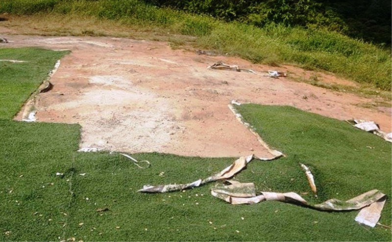 Hai người đi ô tô trộm cỏ nhân tạo ở bán đảo Sơn Trà