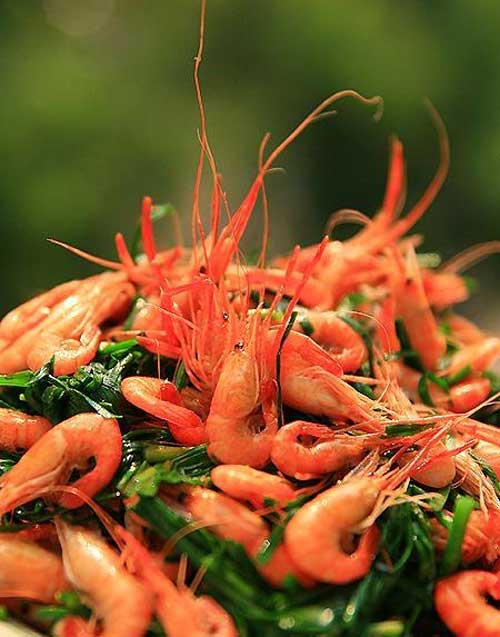 Tôm càng kích thích sinh dục, chữa liệt dương