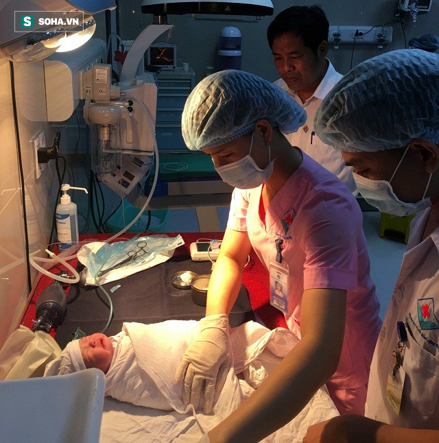 Hy hữu: Mẹ bầu sốc phản vệ rất nặng vì ong đốt, suýt nguy kịch cả mẹ và con