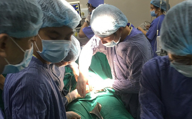 Hy hữu: Mẹ bầu sốc phản vệ rất nặng vì ong đốt, suýt nguy kịch cả mẹ và con