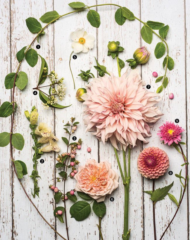 Cuộc sống yên bình và ngọt ngào của cô gái từ bỏ công việc văn phòng nhàm chán để chăm sóc cánh đồng hoa đẹp như cổ tích