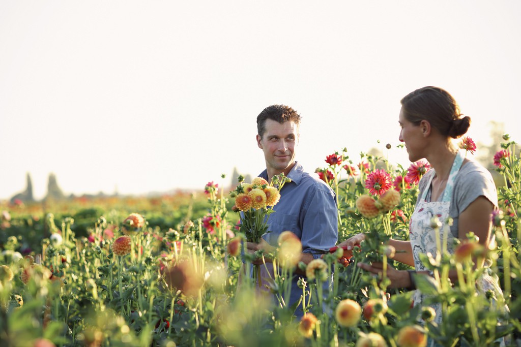 Cuộc sống yên bình và ngọt ngào của cô gái từ bỏ công việc văn phòng nhàm chán để chăm sóc cánh đồng hoa đẹp như cổ tích