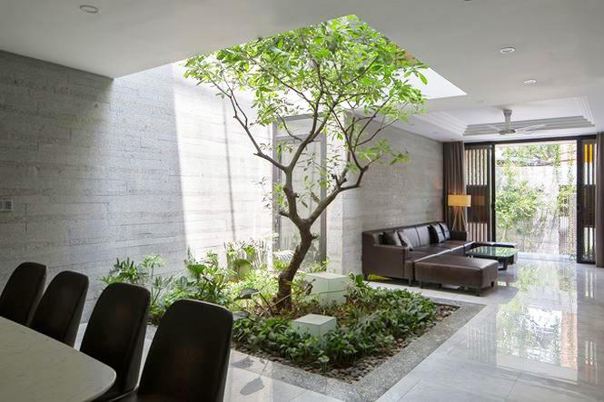 Căn nhà Hà Nội khiến ai cũng thèm vì chỗ nào cũng có vườn, thoáng mát quanh năm