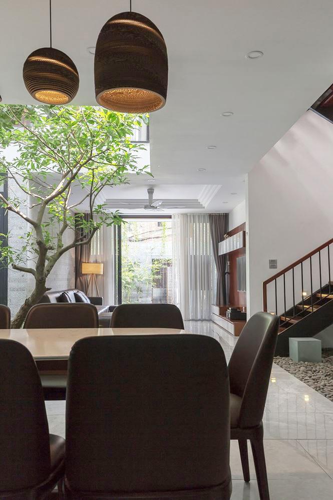 Căn nhà Hà Nội khiến ai cũng thèm vì chỗ nào cũng có vườn, thoáng mát quanh năm