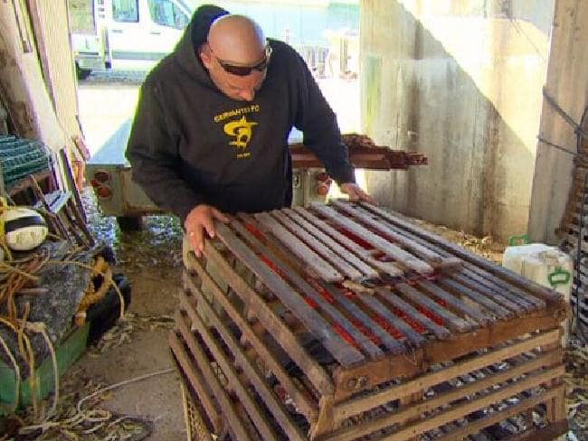 Nuôi nhầm con của người khác, chú ngư dân Úc đòi bồi thường 1,2 tỉ đồng phí đổ vỏ suốt 20 năm