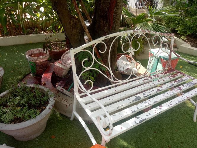 Trường bị khủng bố bằng sơn, mắm tôm trong ngày khai giảng